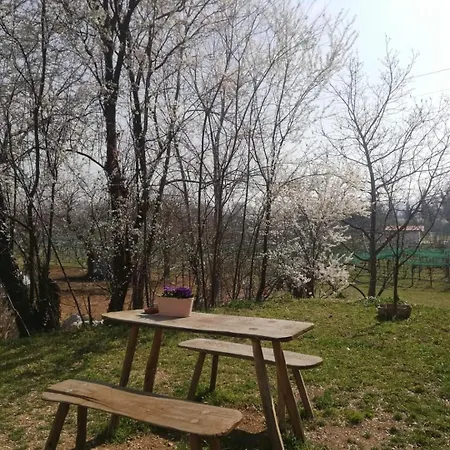 La Caneveta Al Piave