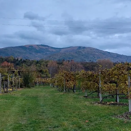 La Caneveta Al Piave * ヴァルドッビアーデネ