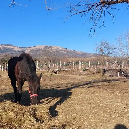 La Caneveta Al Piave 別荘 ヴァルドッビアーデネ