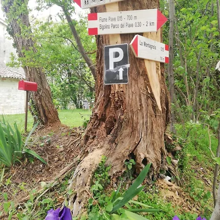 別荘 La Caneveta Al Piave