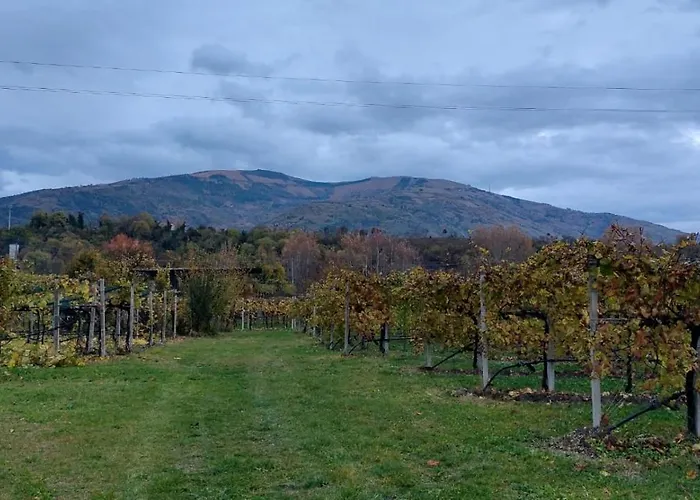 La Caneveta Al Piave * Вальдоббьадене