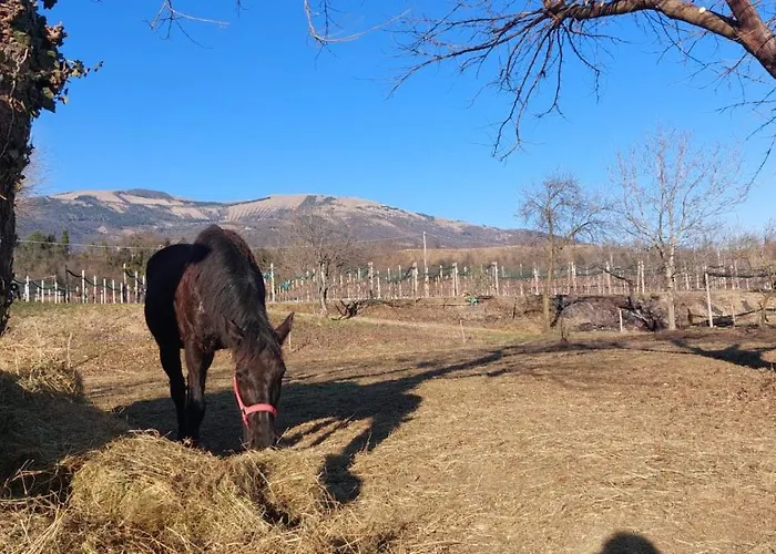 La Caneveta Al Piave Дом отдыха Вальдоббьадене