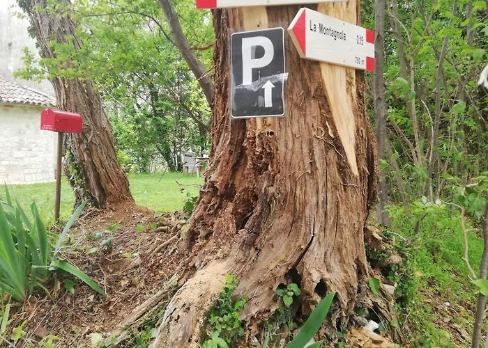 Дом отдыха La Caneveta Al Piave